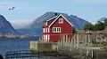 Norwegia (663)